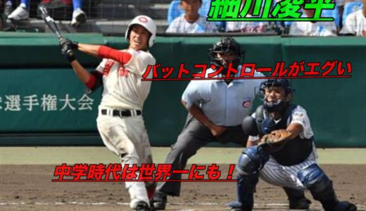 細川凌平(智弁和歌山)のドラフトや評価！出身中学や通算本塁打は？
