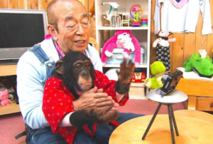 天才！志村どうぶつ園特別編(4月4日)の見逃し配信動画や再放送は？