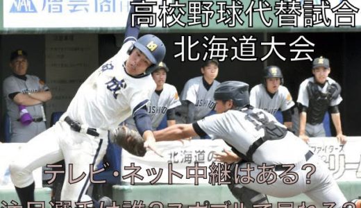 高校野球代替試合の北海道大会テレビ・ネット中継動画！スポブルは？